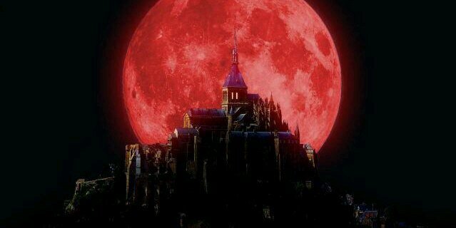 tuki___tf's profile banner image
