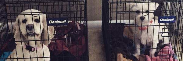 jmilty Profile Banner