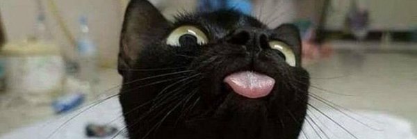 metallunaa Profile Banner