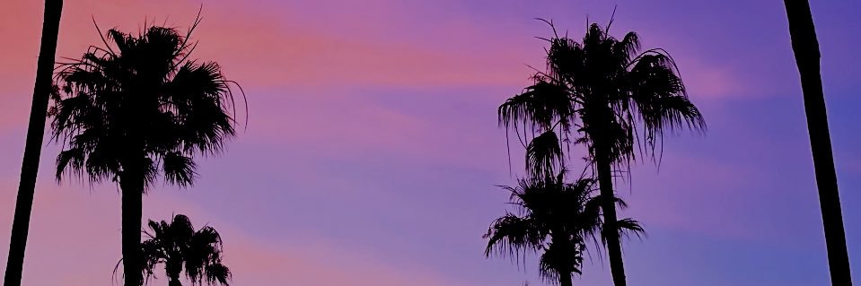 ari_a8's profile banner image