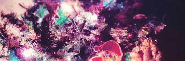 SyberScopes's profile banner image