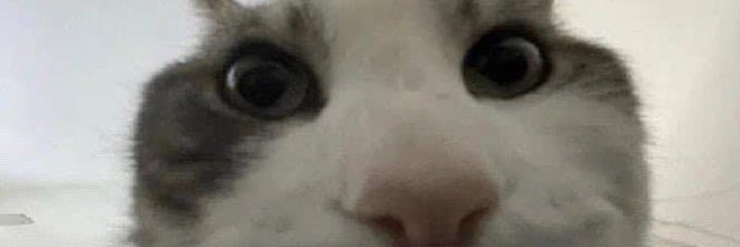 pedrophiipe's profile banner image