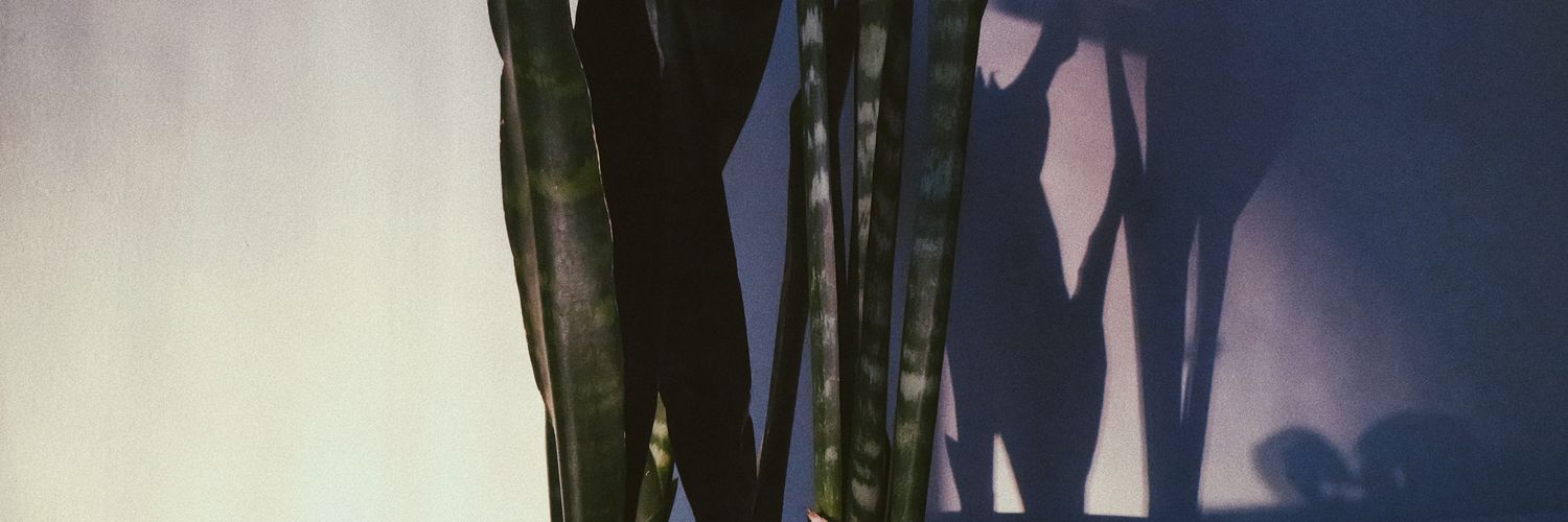 zarasomewhat's profile banner image