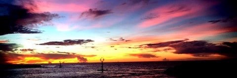 Chip_yoko's profile banner image