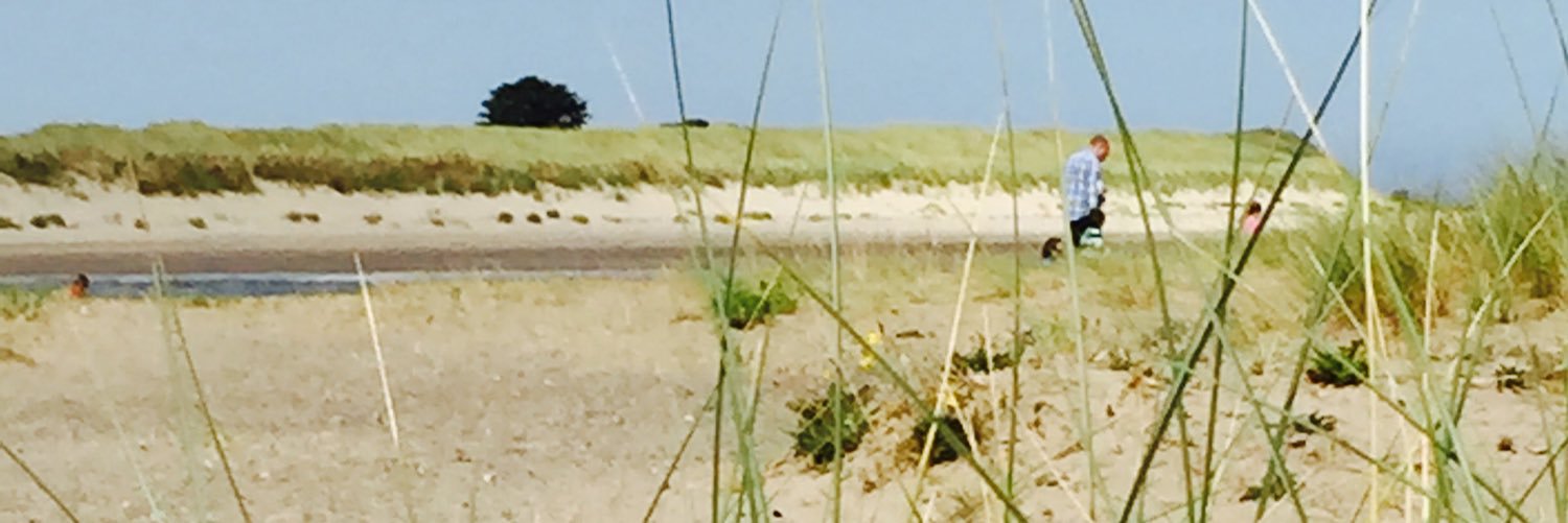 cattiblecat's profile banner image
