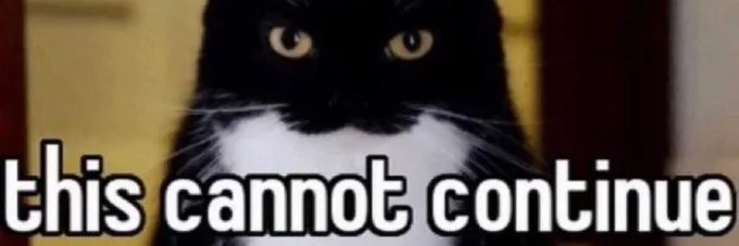 brodeusbeans's profile banner image