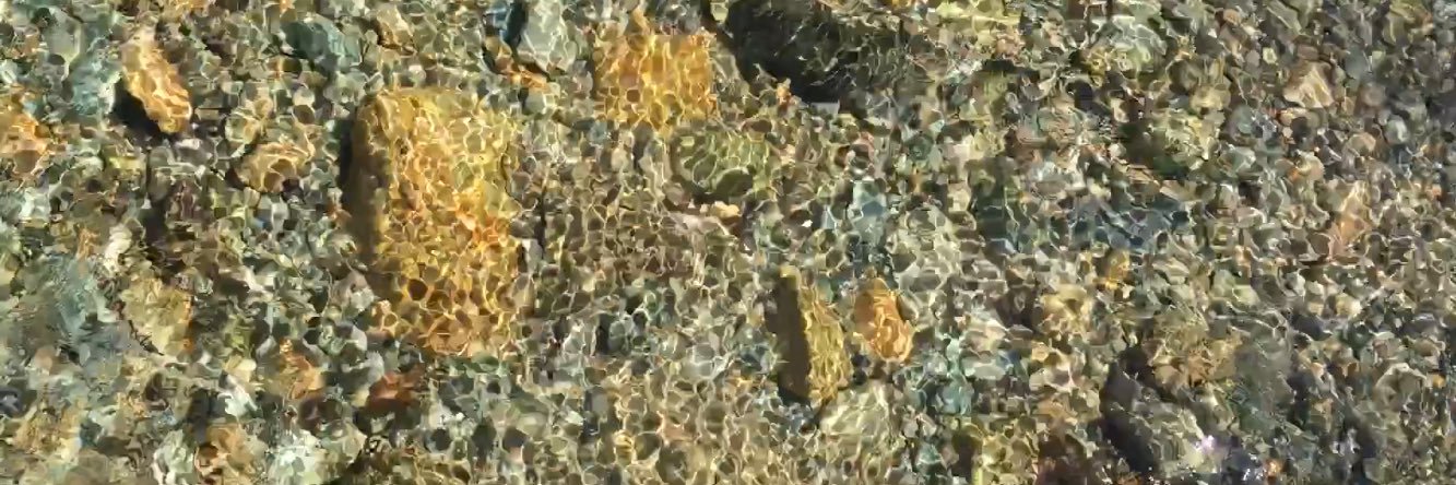 大道芸人ガンピー banner