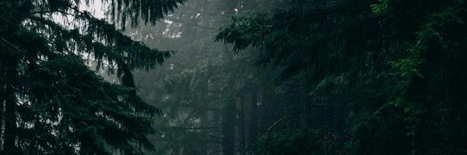 skynwanderlust's profile banner image