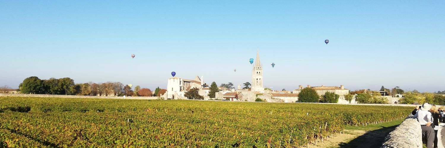 Sauer Krige banner