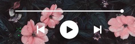 Japaune's profile banner image