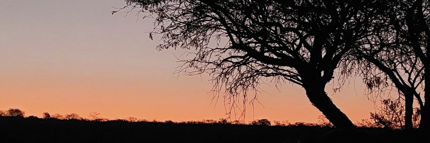 sofiaaantonio's profile banner image