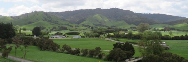 PStorey Profile Banner