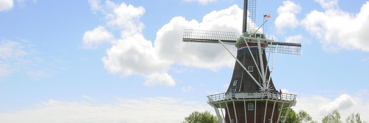 yellowwindmills's profile banner image