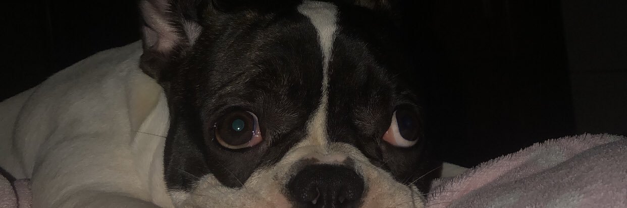 brucsouza_'s profile banner image