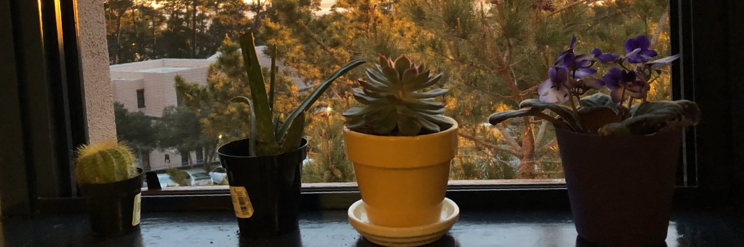 chumluck's profile banner image