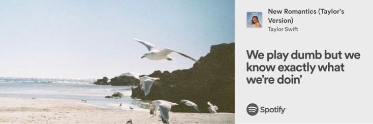 capituemsp's profile banner image