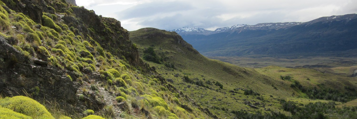 MLoreto Castillo, PhD banner