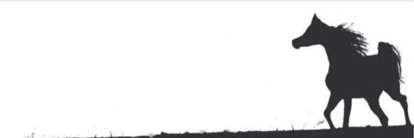 ضُحَــى✒. banner