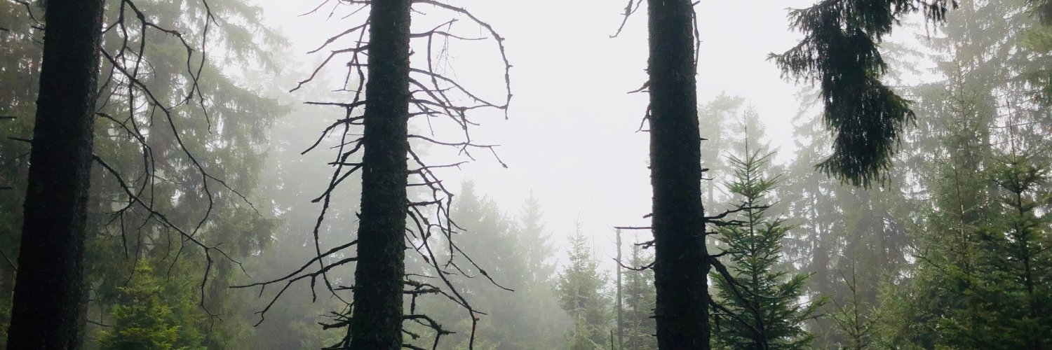 Lucia Peters banner