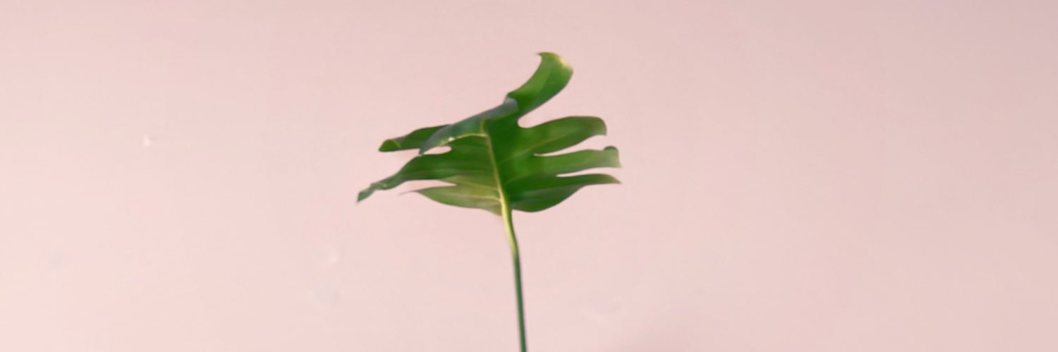 Today_with_JoMo's profile banner image