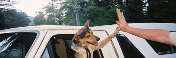 ComoNoAdorarlos Profile Banner