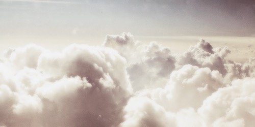 tropicalspinosa's profile banner image