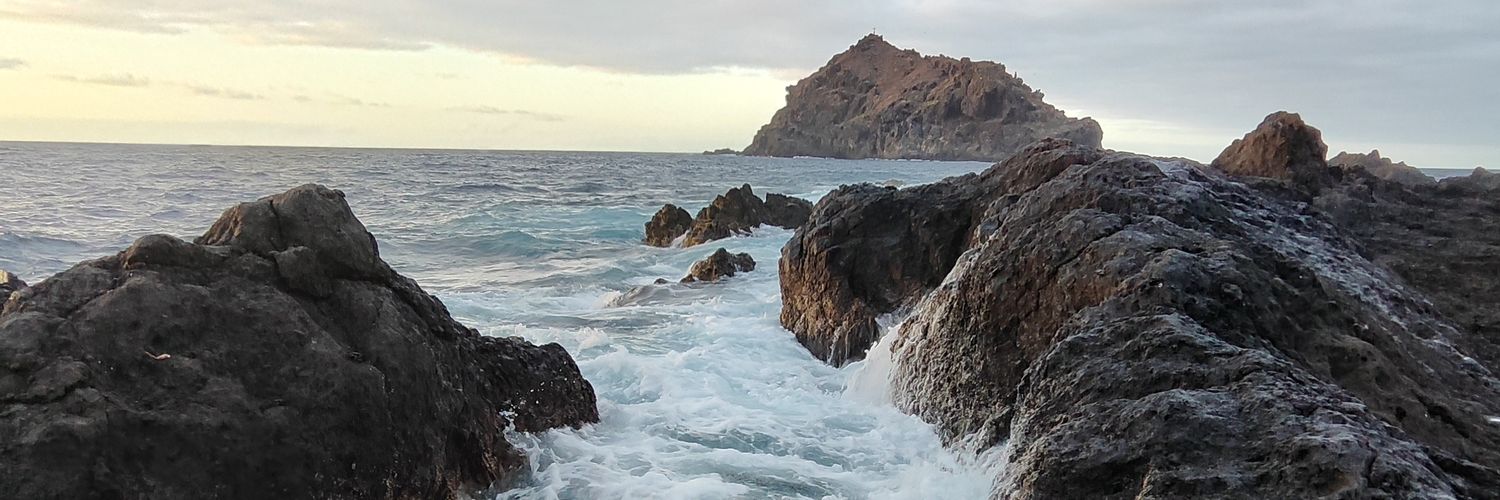 José Alberto banner