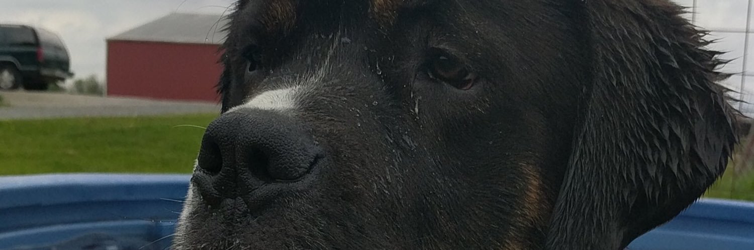 guinns04's profile banner image