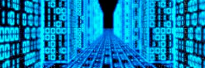 holly_digital's profile banner image