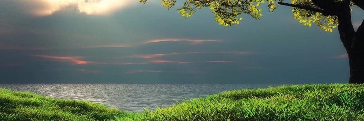 HSA1515's profile banner image