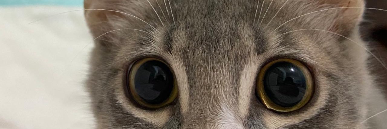 melinavincesn's profile banner image