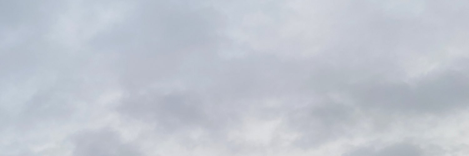 Liights_'s profile banner image