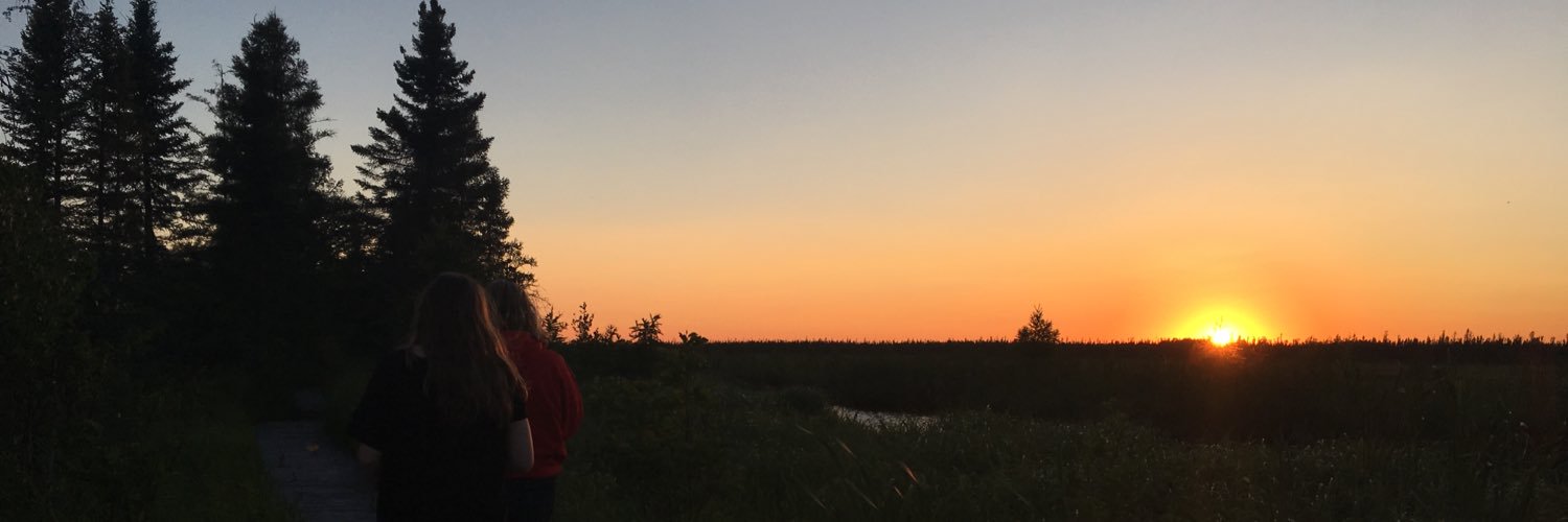 gabipeters_'s profile banner image