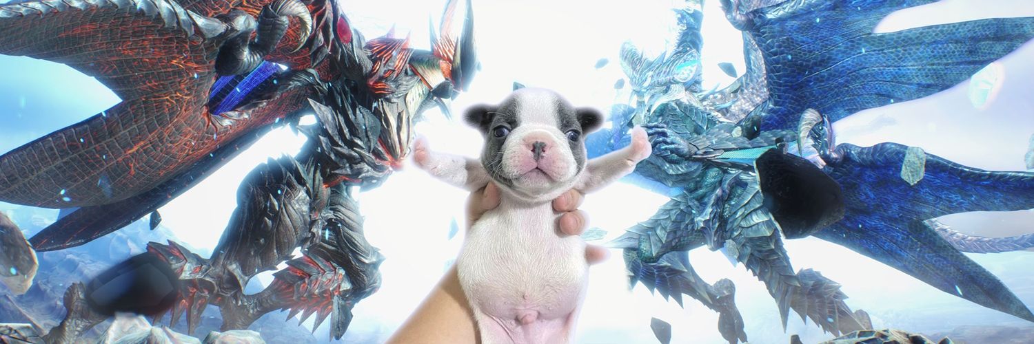 Phantom_Genius7's profile banner image