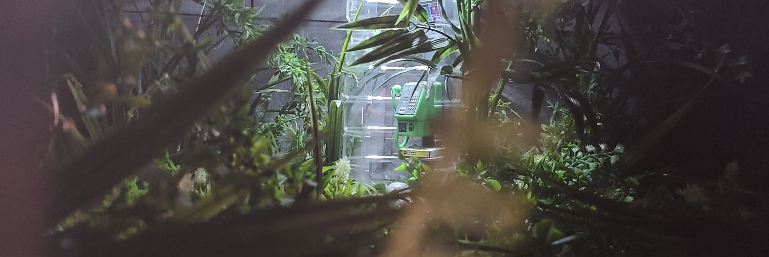 poporon2134's profile banner image