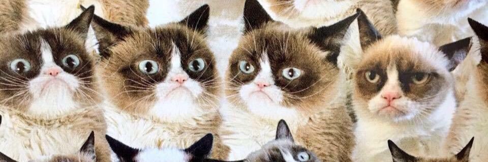 pinche_eder's profile banner image