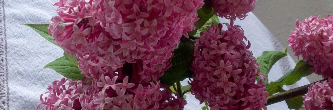 Marilyn Oliver banner