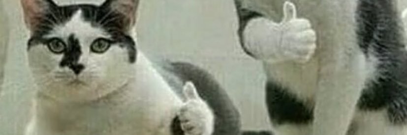 MickBrennan40's profile banner image