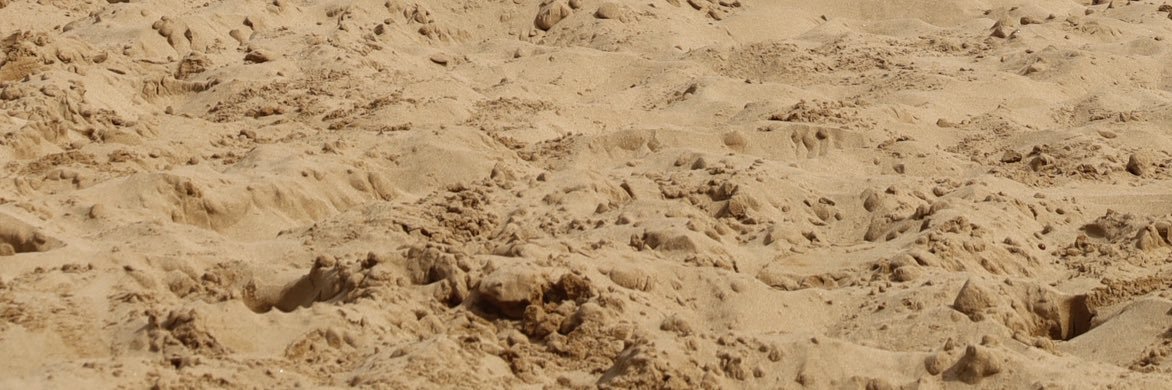 sergiotarrega's profile banner image