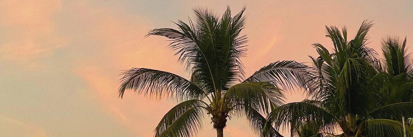 ariellekap's profile banner image