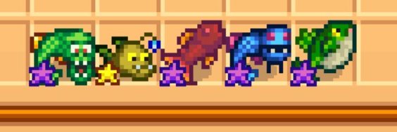 Victor Maciel 🌴 banner