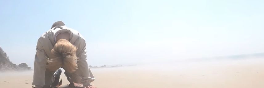 dani banner