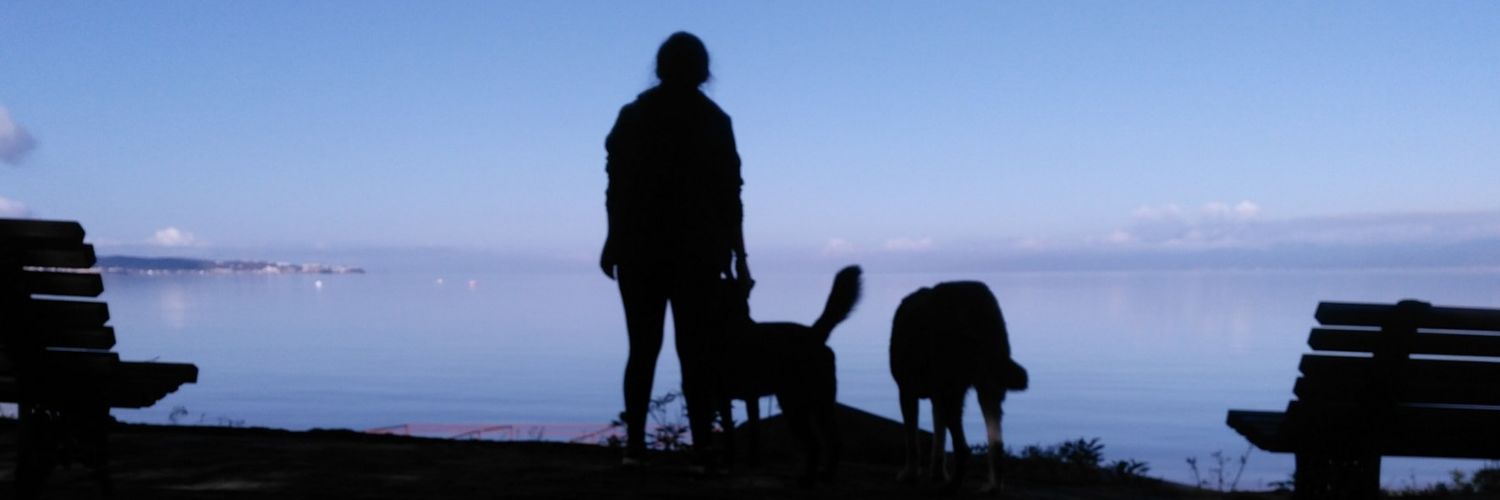 soylemmc's profile banner image