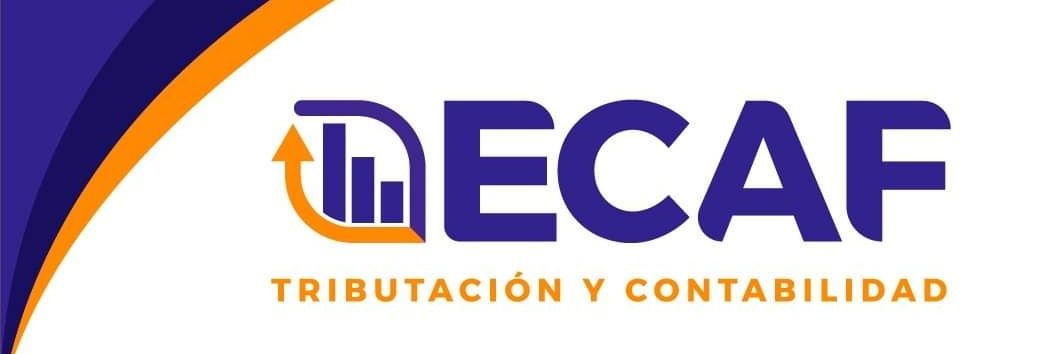 ECAFTributarios's profile banner image