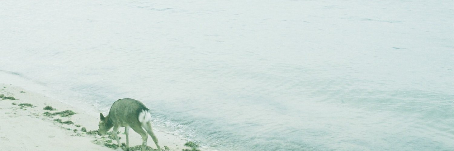 takamiyaue's profile banner image