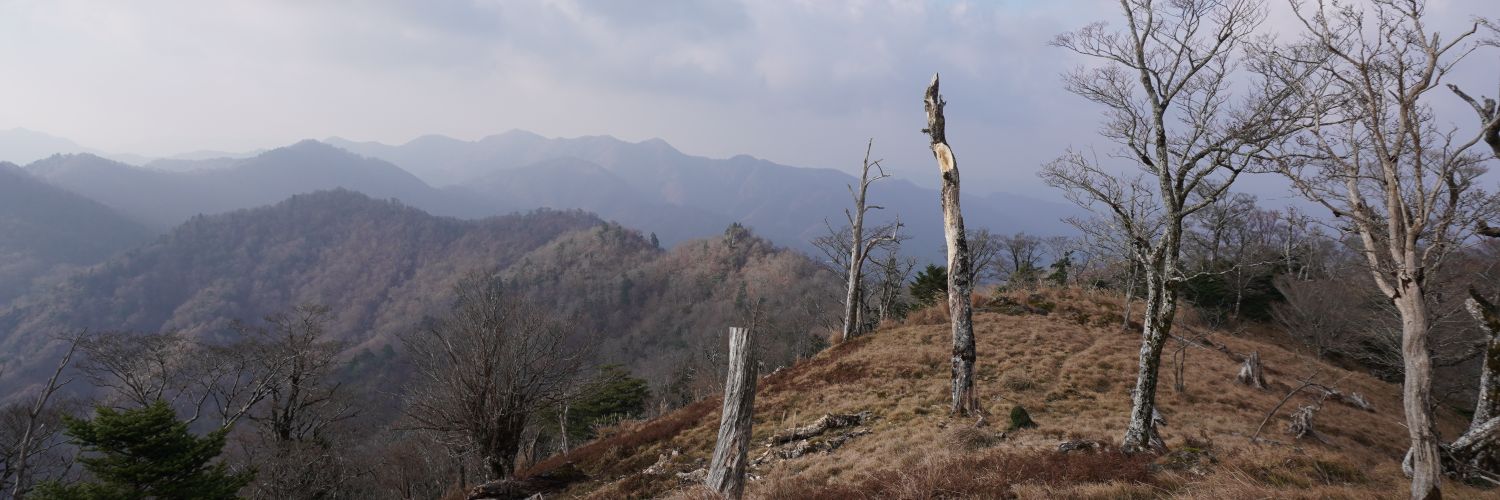 ystk21's profile banner image