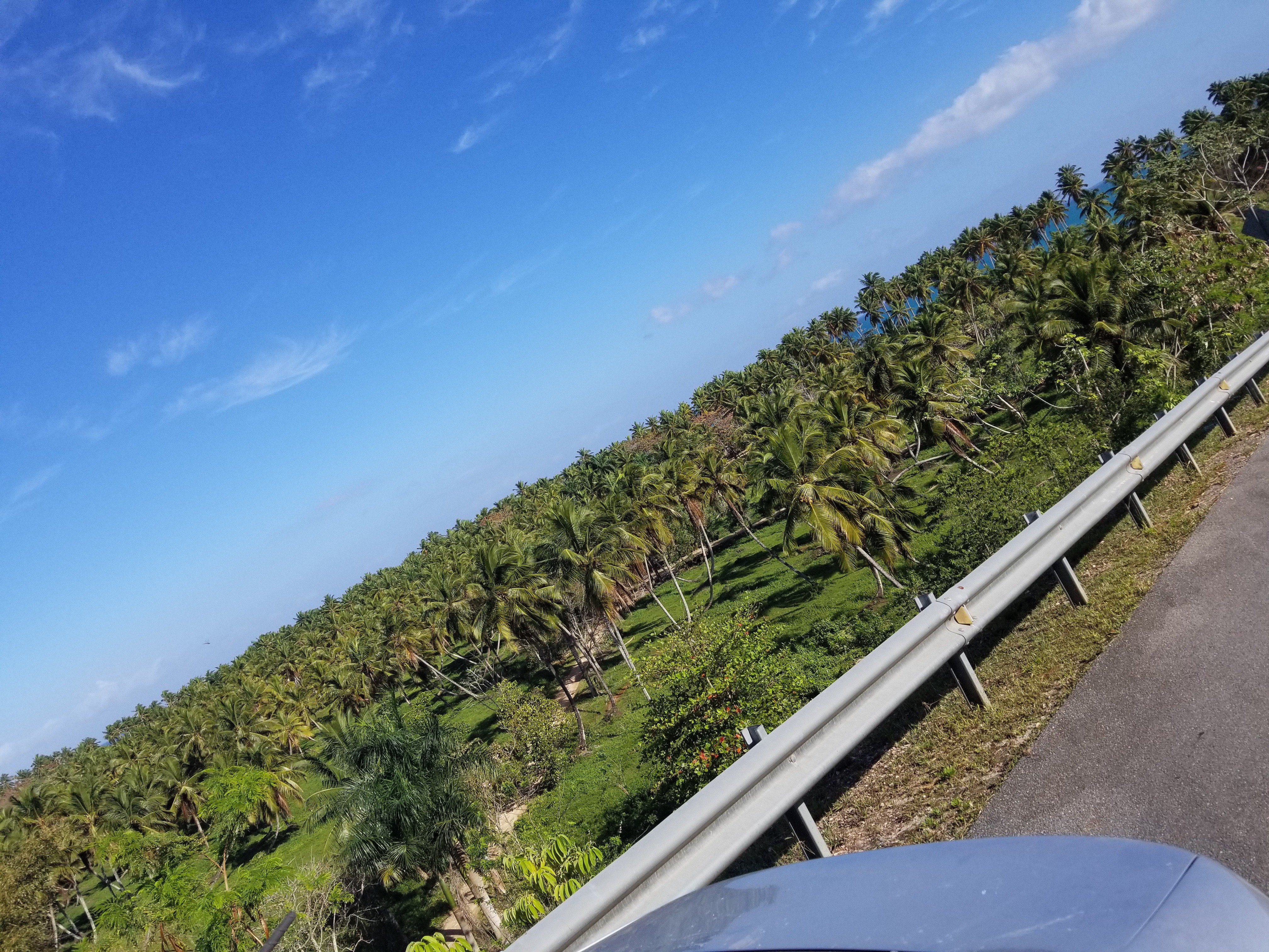IsisSkye's profile banner image