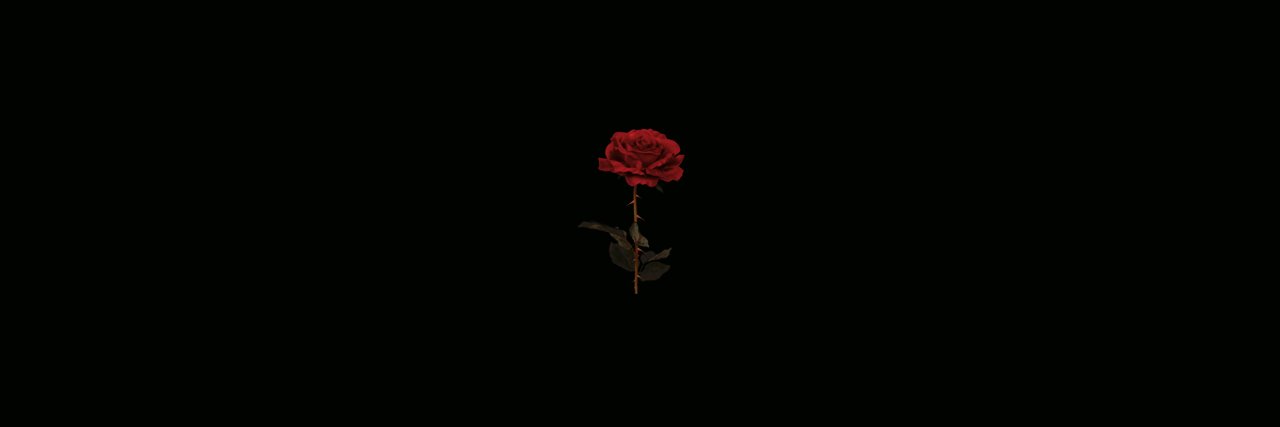soficorreaa's profile banner image