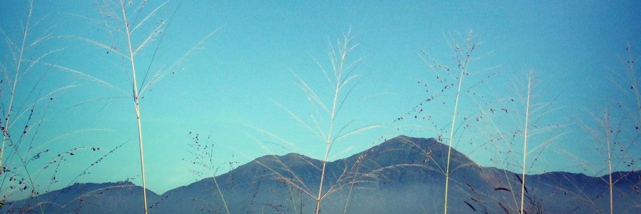 Michelle Dernersissian banner