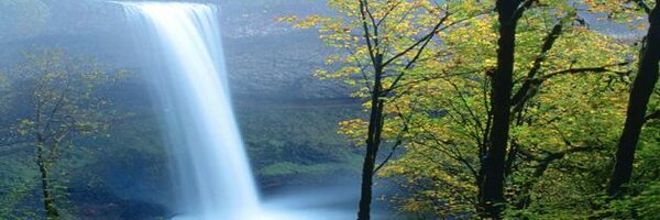 OSRCNW Profile Banner